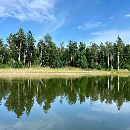 Metsaraeaegu Wellness Βίλα Ulendi Εξωτερικό φωτογραφία